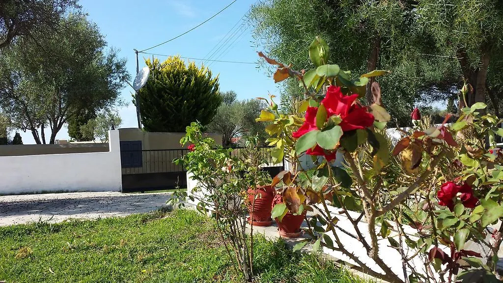 Διαμερίσματα Εύα Σβορωνάτα